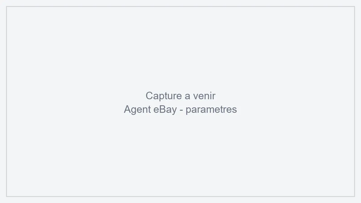 Paramètres de l'agent eBay