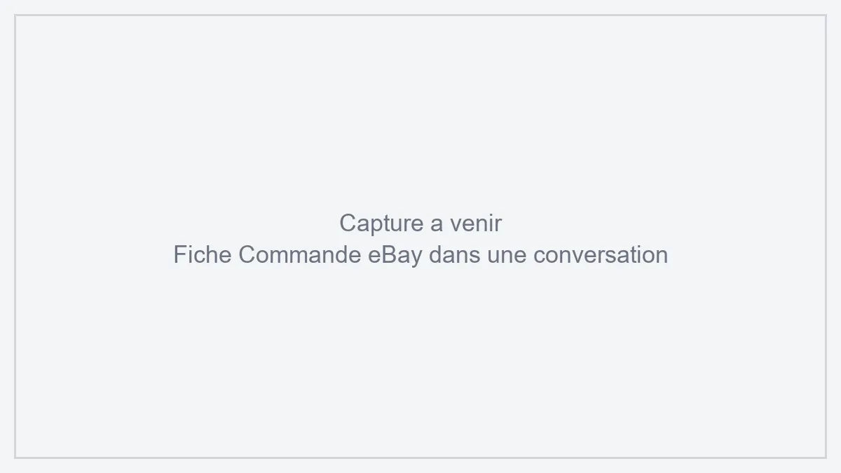 La fiche Commande eBay dans une conversation